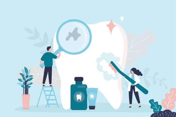 Why Choose Us for Your Dental Needs in Tampa, FL